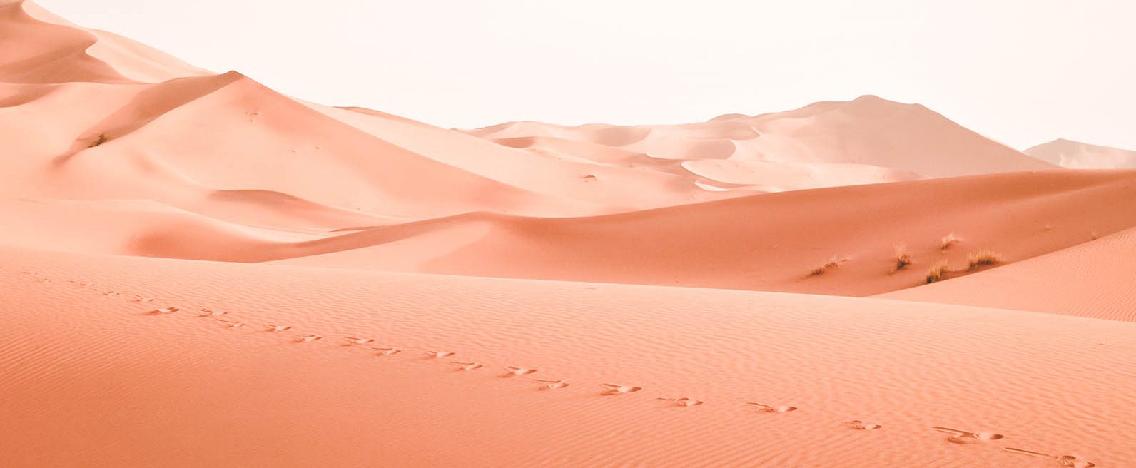 presentation de Mireille Cerea